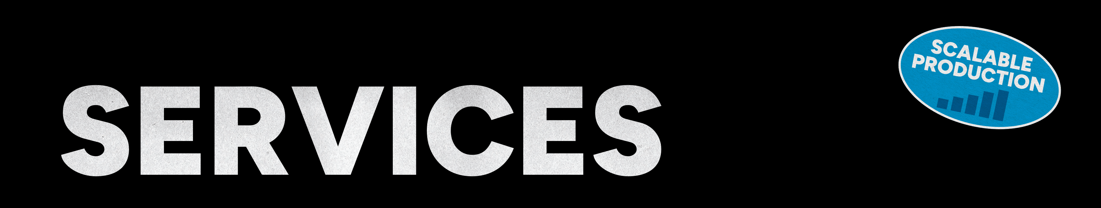 Services Services title leading into professional videography services and projects.